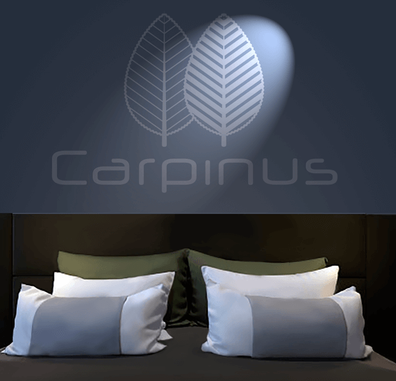 Hotel Carpinus logo by Bloo agency
